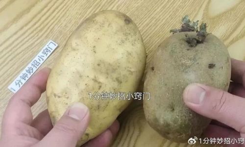 Effective Strategies to Prevent Potatoes from Sprouting and Turning Green:A Comprehensive Guide