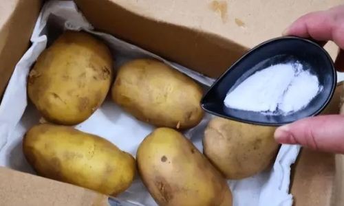 Effective Strategies to Prevent Potatoes from Sprouting and Turning Green:A Comprehensive Guide