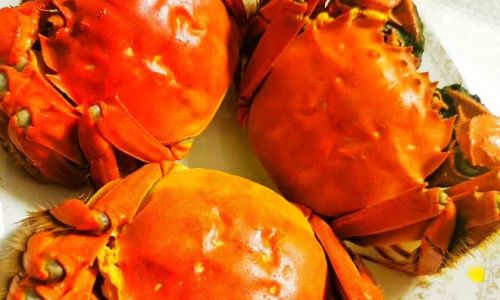 How Long Does Cooked King Crab Last?A Comprehensive Guide to Proper Storage and Shelf Life