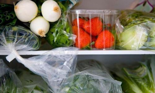 Effective Food Preservation Techniques:From Ancient Wisdom to Modern Innovation