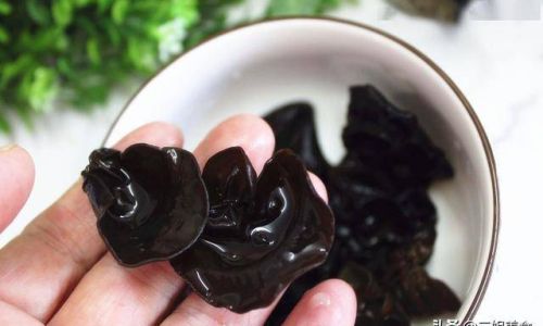 The Science Behind Storing Soaked Wood Ear Mushrooms:Maximizing Freshness and Safety