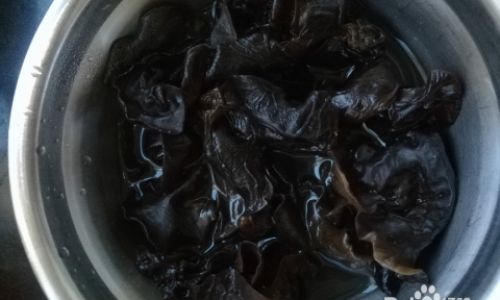 The Science Behind Storing Soaked Wood Ear Mushrooms:Maximizing Freshness and Safety