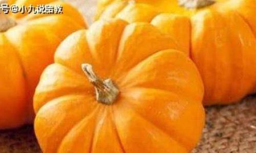 Maximizing Shelf Life:The Science and Art of Storing Pumpkins for Longevity