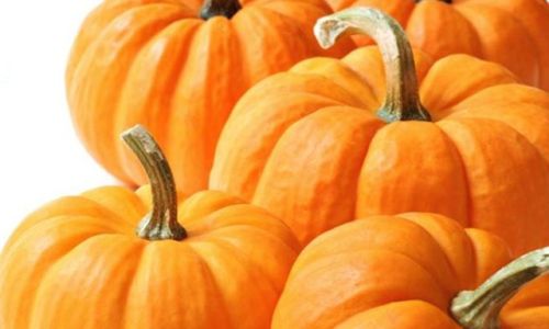 Maximizing Shelf Life:The Science and Art of Storing Pumpkins for Longevity