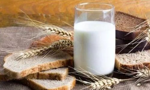 The Science and Art of Storing Milk:Best Practices for Freshness and Safety
