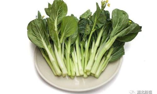 Effective Methods to Preserve the Freshness of Leafy Greens:A Comprehensive Guide