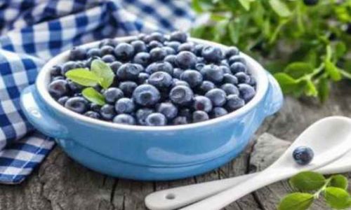 Maximizing Freshness:A Comprehensive Guide to Extending Blueberry Shelf Life
