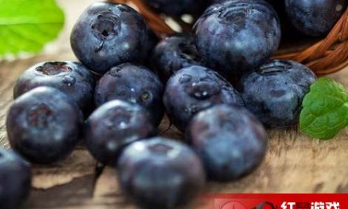 Maximizing Freshness:A Comprehensive Guide to Extending Blueberry Shelf Life