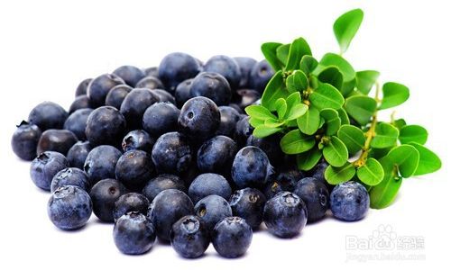 Maximizing Freshness:A Comprehensive Guide to Extending Blueberry Shelf Life