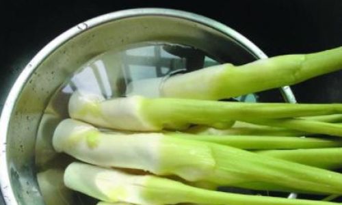 Extending the Shelf Life of Water Bamboo:A Comprehensive Guide to Storage and Preservation