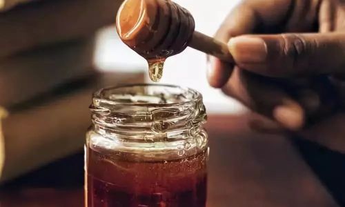 The Timeless Sweetness:Proven Methods to Preserve Honey Indefinitely Without Spoilage