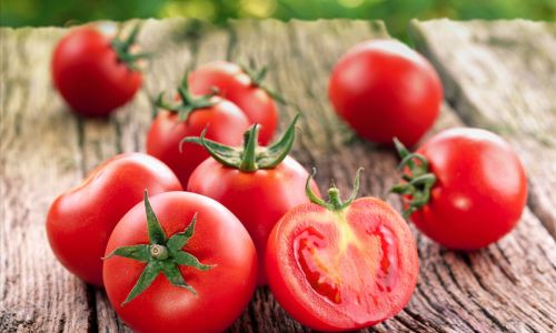 Preserving the Bounty:Creative and Effective Methods to Keep Tomatoes Fresh All Year Round