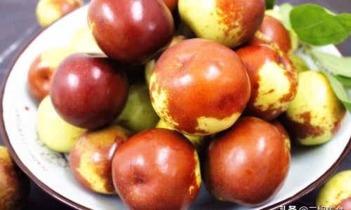 Effective Methods to Preserve the Crispiness of Dried Jujubes:A Comprehensive Guide