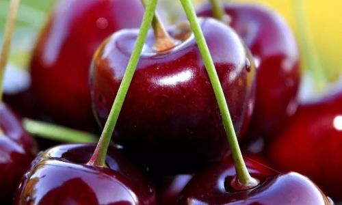 Maximizing Freshness:A Comprehensive Guide to Extending the Shelf Life of Cherries