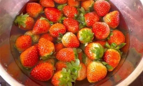 Simple and Effective Methods to Preserve Strawberries for Long-Lasting Freshness