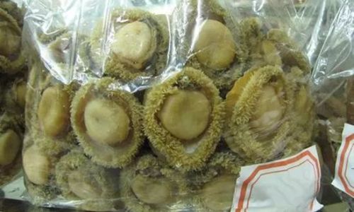 Preserving Abalone:A Comprehensive Guide to Extending Freshness and Flavor