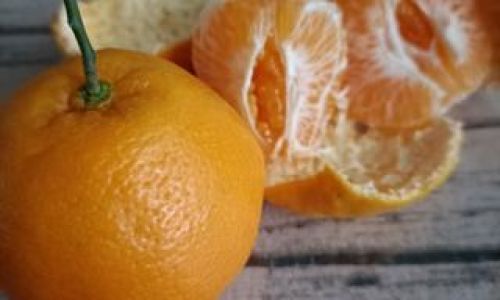 Maximizing Shelf Life:The Science Behind Preserving Baba Gana Citrus Fruits