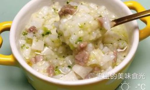 Nourishing Your Little One:A Complete Guide to Homemade Baby Beef Porridge Recipes