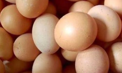 Can Babies Eat Undercooked Eggs?A Comprehensive Guide to Egg Safety for Infants