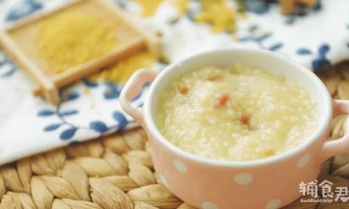 A Comprehensive Guide to Nutritious and Delicious Baby Porridge Options