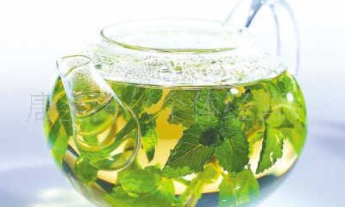 The Ultimate Guide to Drying and Preserving Mint:Techniques,Tips,and Long-Term Storage Solutions