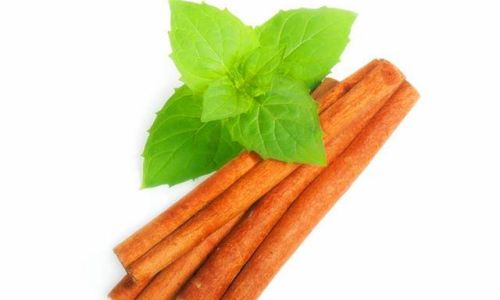 The Nutritional Powerhouse:Unveiling the Health Benefits and Creative Ways to Enjoy Mint