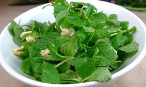 The Art of Enjoying Mint:Creative and Healthy Ways to Incorporate This Herb into Your Diet
