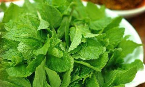 The Art of Enjoying Mint:Creative and Healthy Ways to Incorporate This Herb into Your Diet