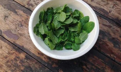 The Art of Enjoying Mint:Creative and Healthy Ways to Incorporate This Herb into Your Diet