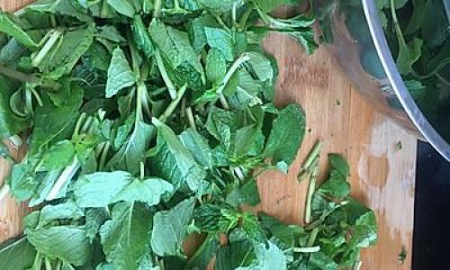 How to Preserve Mint Leaves:A Comprehensive Guide to Retaining Freshness and Flavor