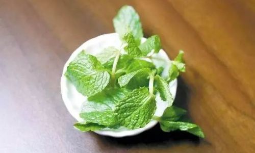Creative and Delicious Ways to Enjoy Mint:From Refreshing Drinks to Savory Dishes