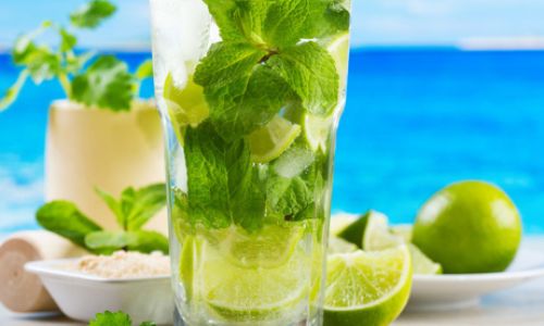 Creative and Delicious Ways to Enjoy Mint:From Refreshing Drinks to Savory Dishes