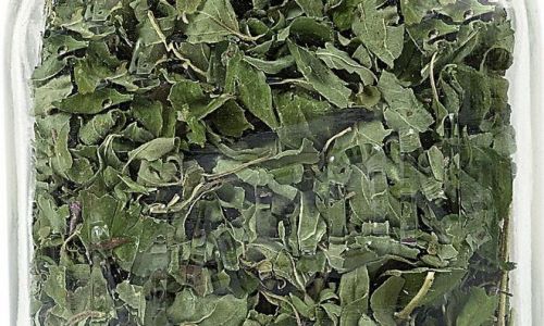 The Ultimate Guide to Preserving Mint Leaves:Methods,Tips,and Tricks for Long-Lasting Freshness