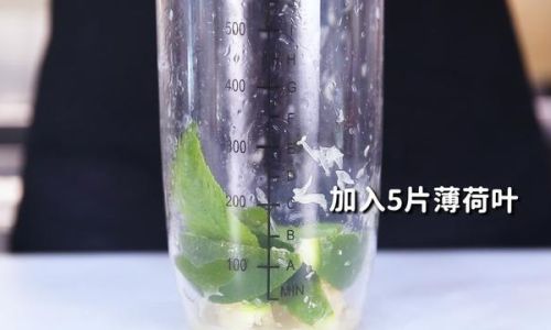 How to Craft the Perfect Mint Sparkling Water:A Refreshing Guide from Start to Finish