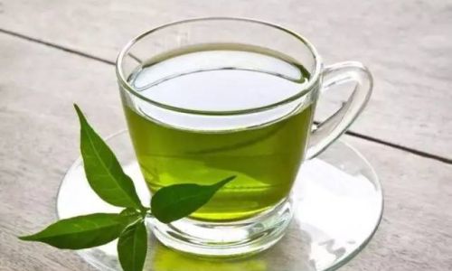 The Harmonious Blend:Exploring the Benefits and Considerations of Steeping Mint with Green Tea
