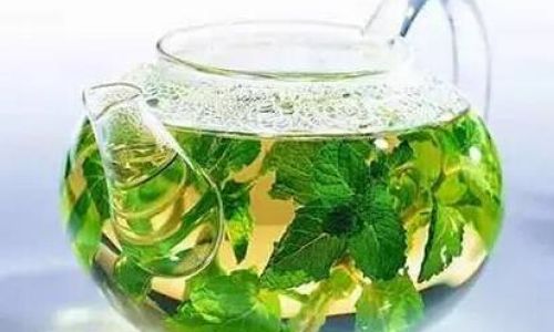 The Harmonious Blend:Exploring the Benefits and Considerations of Steeping Mint with Green Tea