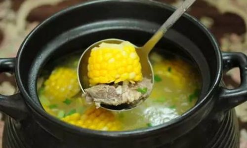 The Art of Nourishment:Mastering Traditional and Modern Techniques for Crafting the Perfect Soup