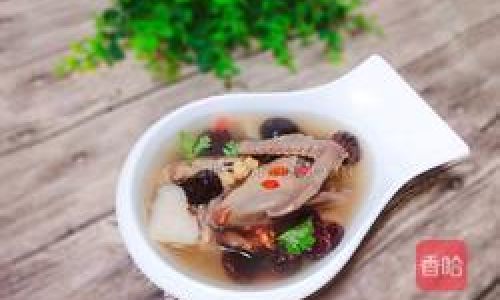 Understanding Pigeon Soup:A Nutritional Powerhouse