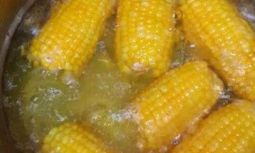 Mastering the Perfect Boil:Unraveling the Ideal Cooking Time for Corn on the Cob