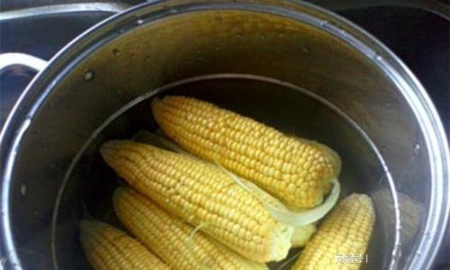 Mastering the Perfect Boil:How Long to Cook Corn for Tender,Juicy Kernels