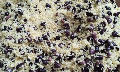 1.The Foundation:Glutinous Rice