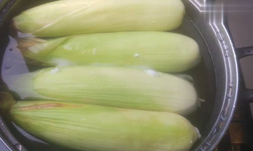 Mastering the Art of Cooking Corn:Tips and Techniques for Perfectly Boiled Corn Every Time