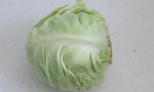 Mastering the Art of Cooking Cabbage:Techniques and Recipes for the Most Delicious Dishes