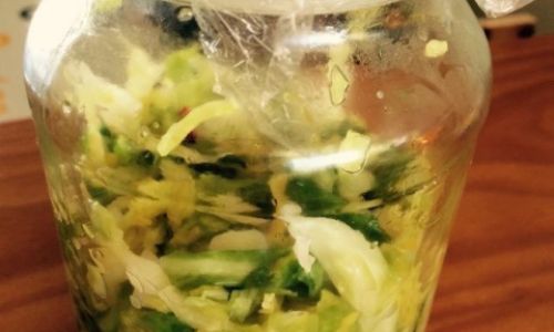 The Art of Crafting Traditional Cabbage Pickle:A Comprehensive Guide to Fermenting Sauerkraut