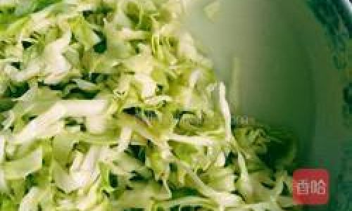 The Art of Crafting Traditional Cabbage Pickle:A Comprehensive Guide to Fermenting Sauerkraut