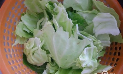 Deliciously Simple Cabbage Recipes:Mastering the Art of Cooking Cabbage at Home
