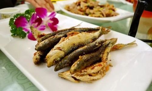 Mastering the Art of Cooking Bang Bang Fish:Tips and Techniques for a Delicious Feast