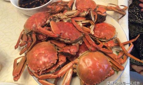 The Perfect Steaming Time for Tied Hairy Crabs:A Comprehensive Guide