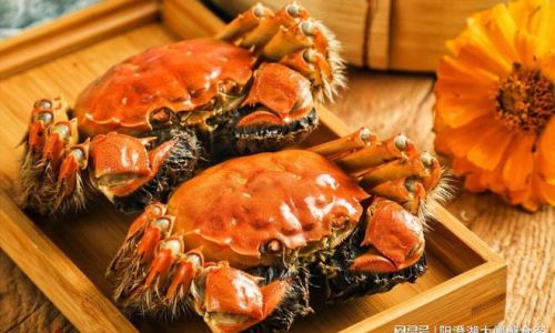 The Perfect Steaming Time for Tied Hairy Crabs:A Comprehensive Guide