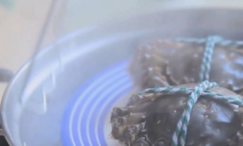 The Perfect Steaming Time for Tied Hairy Crabs:A Comprehensive Guide